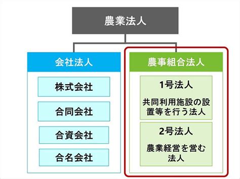 擬牝台|農事組合法人 富士農場サービス│有限会社TOPICS│。